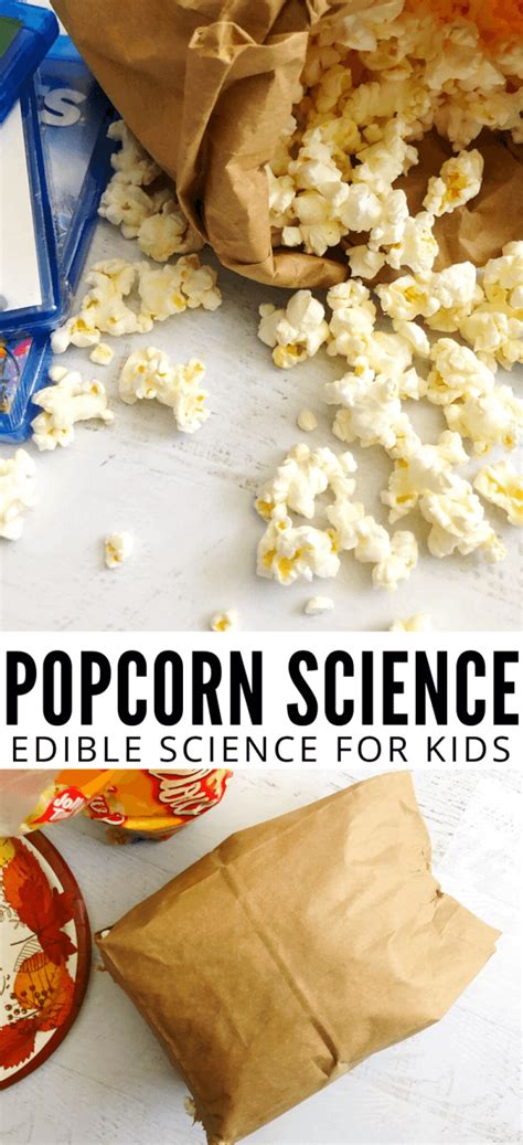 Popcorn Science Microwave Popcorn Experiment Little Bins For Popcorn Science Experiment - Popcorn Science Experiment