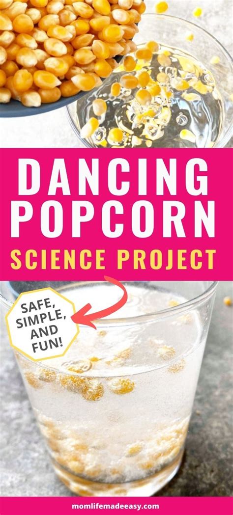 Popcorn Science   Popcorn Science Education World - Popcorn Science