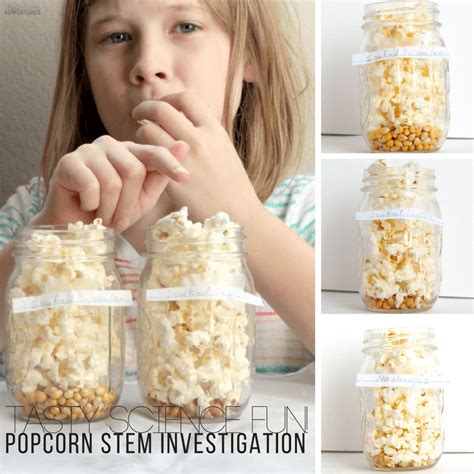 Popcorn Science Stem Investigation Tasty Science Fun Science Of Popcorn - Science Of Popcorn