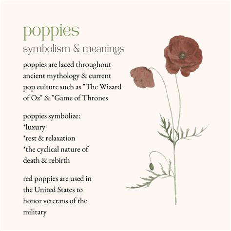 poppy meaning