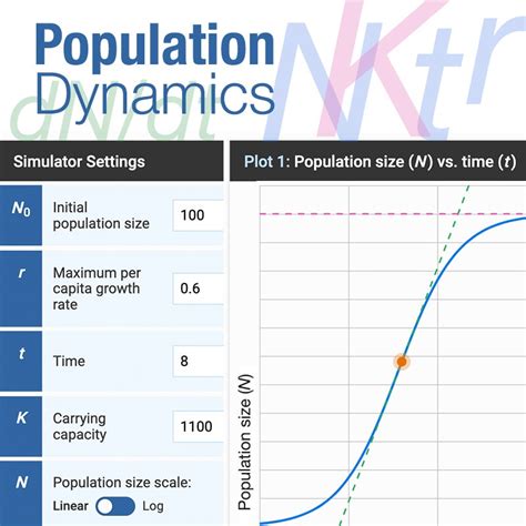 Population Dynamics Hhmi Biointeractive Population Worksheet Answers - Population Worksheet Answers