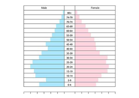 population pyramid template graphic