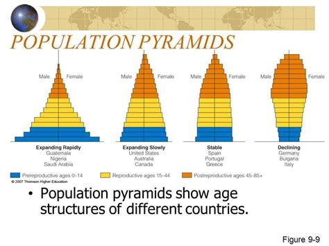 Population Worksheet Answers   Demographic Analysis Made Easy Population Pyramids Worksheet Answer - Population Worksheet Answers