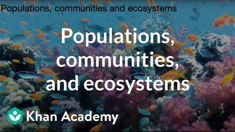 Populations Communities And Ecosystems Khan Academy Communities And Biomes Worksheet Answers - Communities And Biomes Worksheet Answers