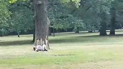 porn sex in park