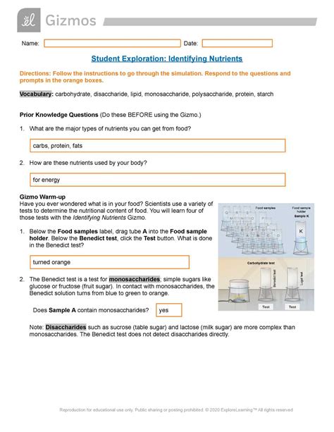Porosity Gizmo Answer Key