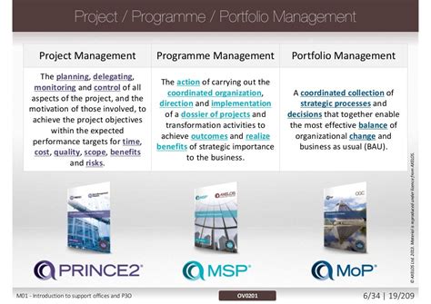 Read Online Portfolio Programme And Project Offices 