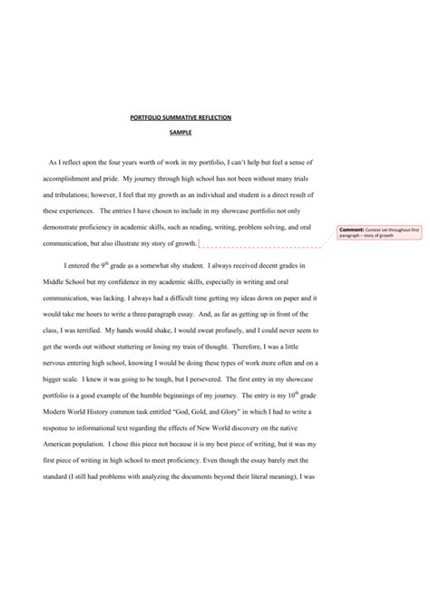 Full Download Portfolio Summative Reflective Sample Essay 