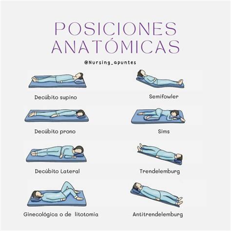 Posiciones Anatomicas Basicas