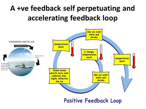 positieve feedback loop