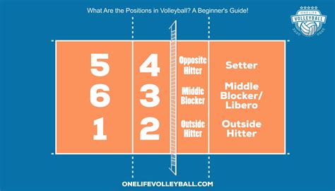 Positionen Beim Volleyball