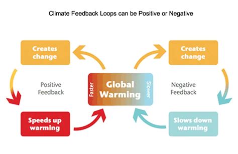 Positive Feedback Loop Climate
