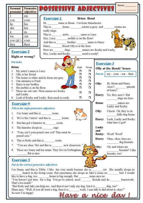 possessive adjectives exercises