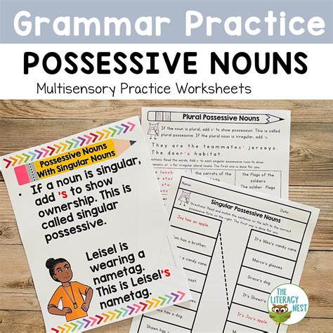 Possessive Nouns Activity Teacher Made Twinkl Possessive Nouns Activities 2nd Grade - Possessive Nouns Activities 2nd Grade