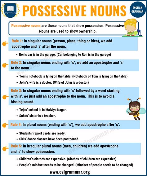 Possessive Nouns Guide For Grades 3 5 Grammar Possessive Nouns 3rd Grade - Possessive Nouns 3rd Grade