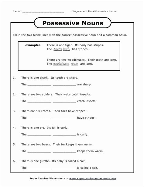 Possessive Nouns Second 2nd Grade Skill Builders Language Possessive Nouns Second Grade - Possessive Nouns Second Grade