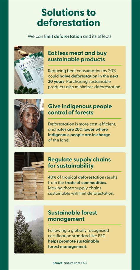 Possible Solutions Deforestation