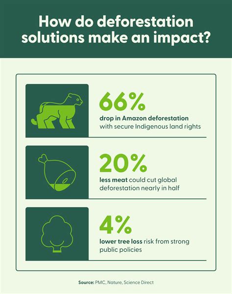 Full Download Possible Solutions Deforestation 