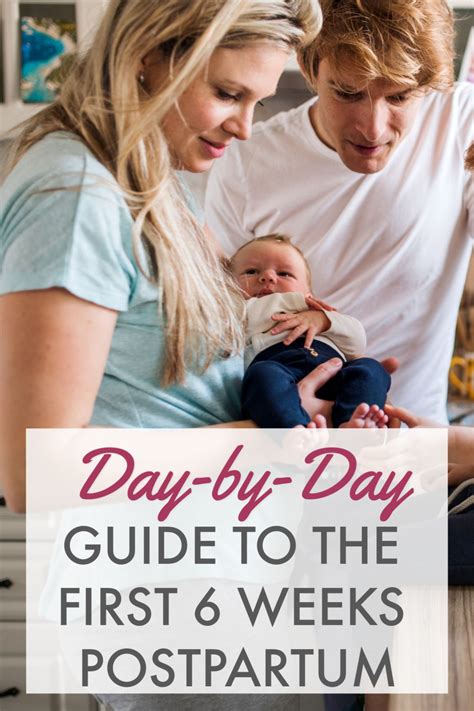 Download Postpartum Guide 