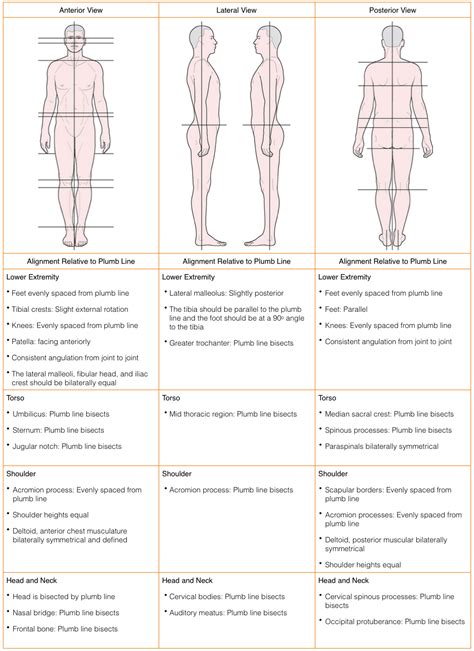 Postual Assessment Form