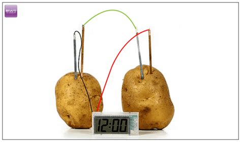 Potato An Overview Sciencedirect Topics Science Potato - Science Potato