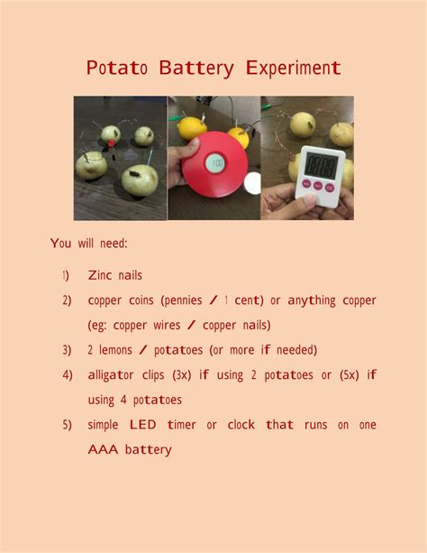 Potato Battery Experiment With Hypothesis And Conclusion Potato Science Experiment - Potato Science Experiment