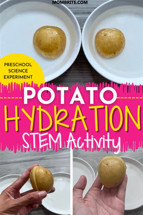 Potato Hydration Science Experiment Mombrite Potato Science Experiment - Potato Science Experiment