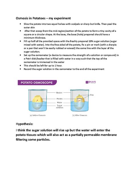 Potato Osmosis Experiment Method Analysis Of Results