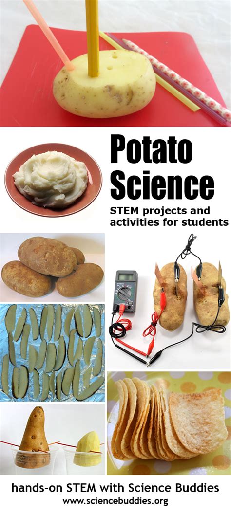 Potato Science Collection Science Buddies Blog Science Potato - Science Potato