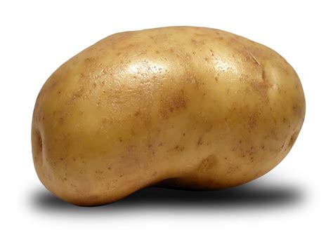 Potato Wikipedia Science Potato - Science Potato