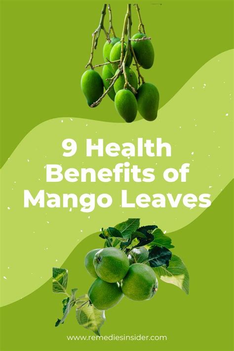 Potential Use Of Mango Leaves Extracts Obtained By High