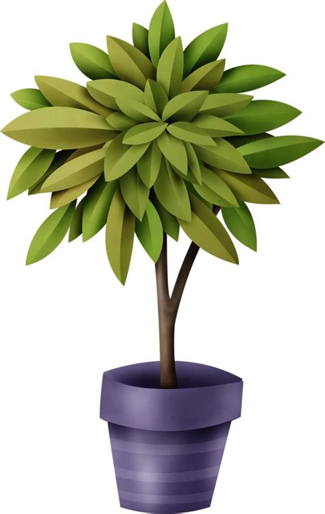 Potted Tree Clipart