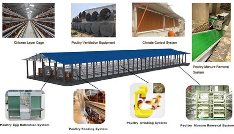 Poultry Farming Equipment