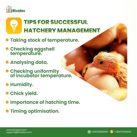 Poultry Hatchery Management