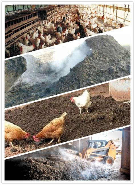 Full Download Poultry Litter Is It Fertilizer Or Pollution 