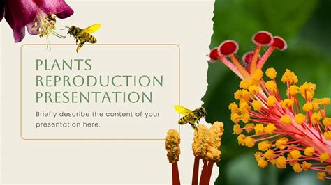 Powerpoint Presentation Plants Science For Kids