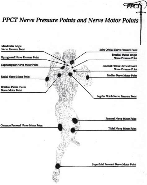 Ppct Training Manual