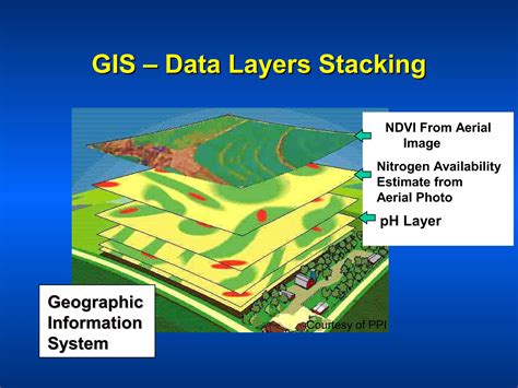 Ppi Gis Local