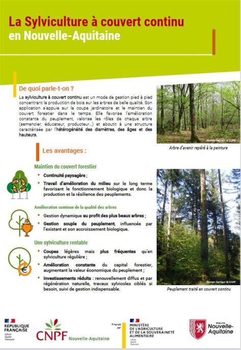 pra c cis de sylviculture