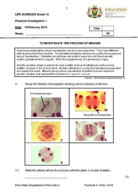 practical 2014 grade 12