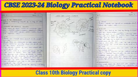 Practical Copy Class 10