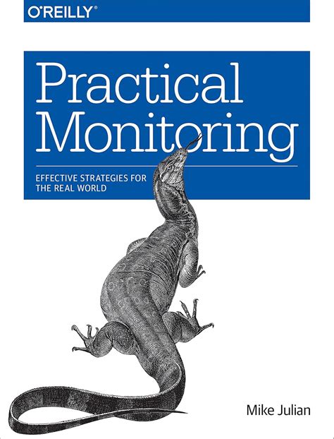 Practical Monitoring Effective Strategies For The Real World