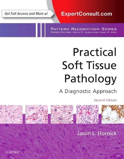 Practical Soft Tissue Pathology A Diagnostic Appro