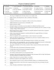 Practice Evolution Vocabulary
