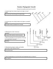 Practice Phylogenetic Trees 2 Answer Key Pdf