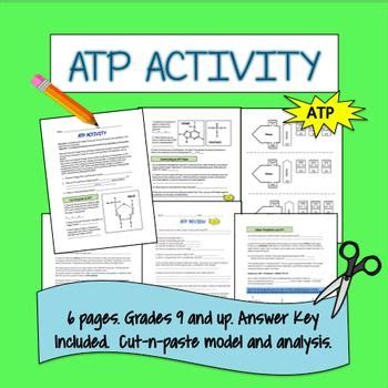 Practice Putting It All Together Atp Flashcards Quizlet Putting It All Together Worksheet - Putting It All Together Worksheet