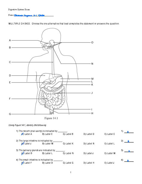 Practice Test Digestive System