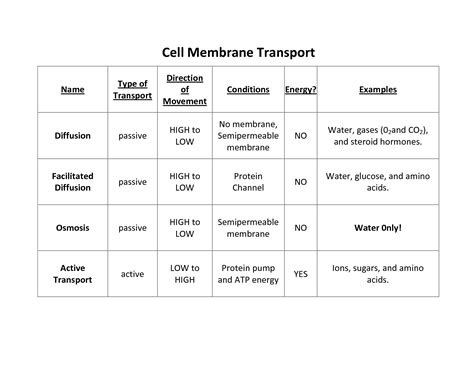 Practice Types Of Cellular Transport Teacher Worksheets Types Of Cellular Transport Worksheet - Types Of Cellular Transport Worksheet