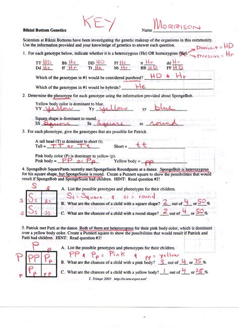Download Practice Problems In Mendelian Genetics Answer Key 