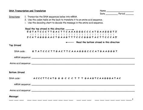 Practicing Dna Transcription And Translation Name Studocu Practicing Dna Transcription And Translation Worksheet - Practicing Dna Transcription And Translation Worksheet
